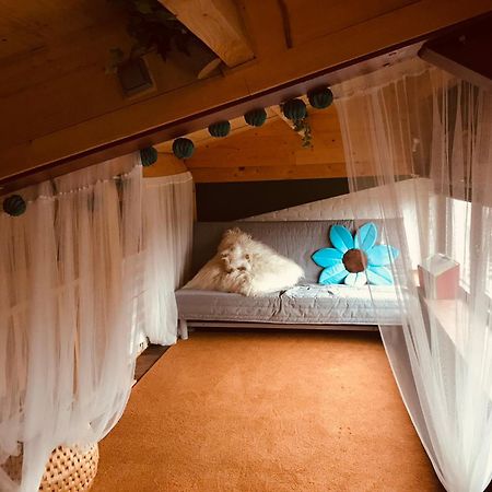Apartmán De Rietnymf Munnekeburen Exteriér fotografie