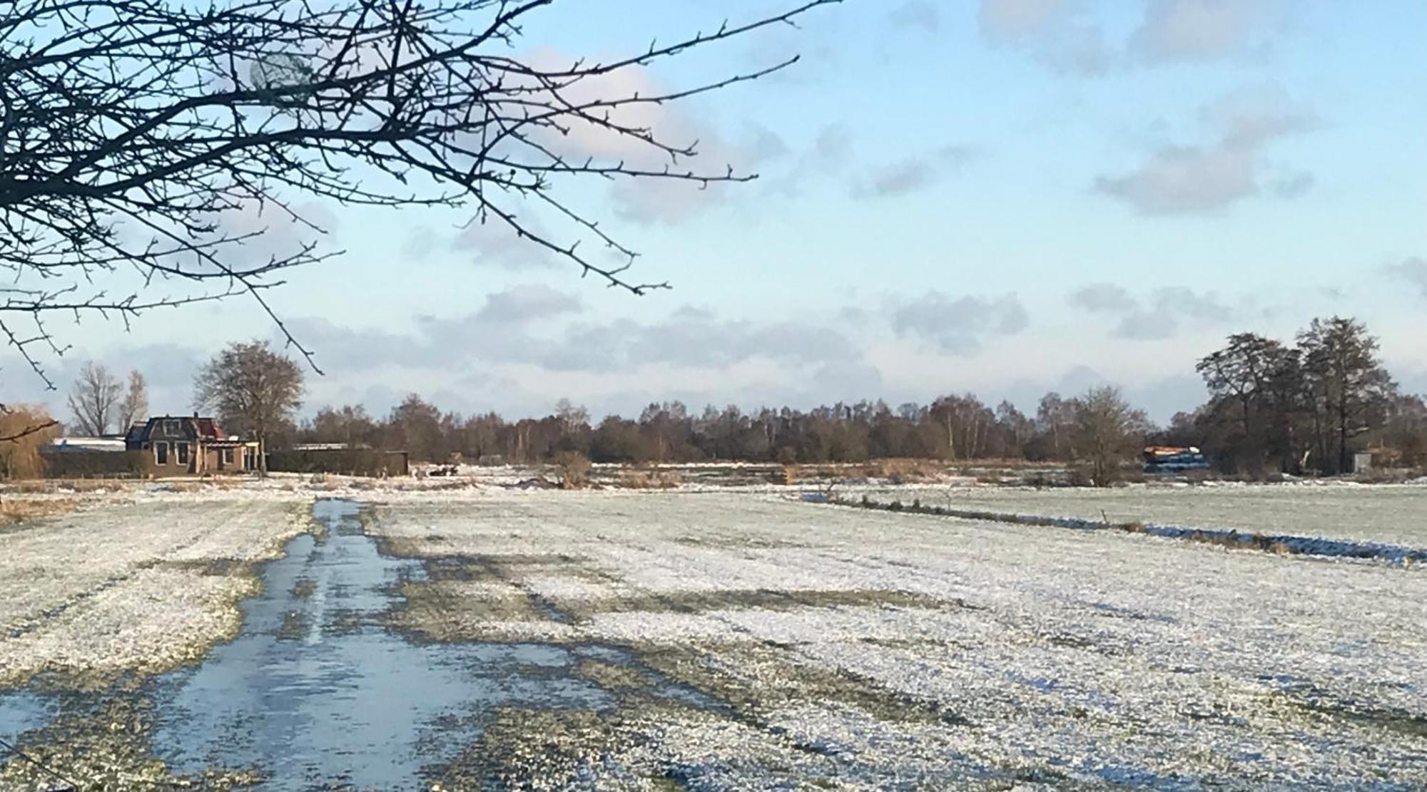 Apartmán De Rietnymf Munnekeburen Exteriér fotografie