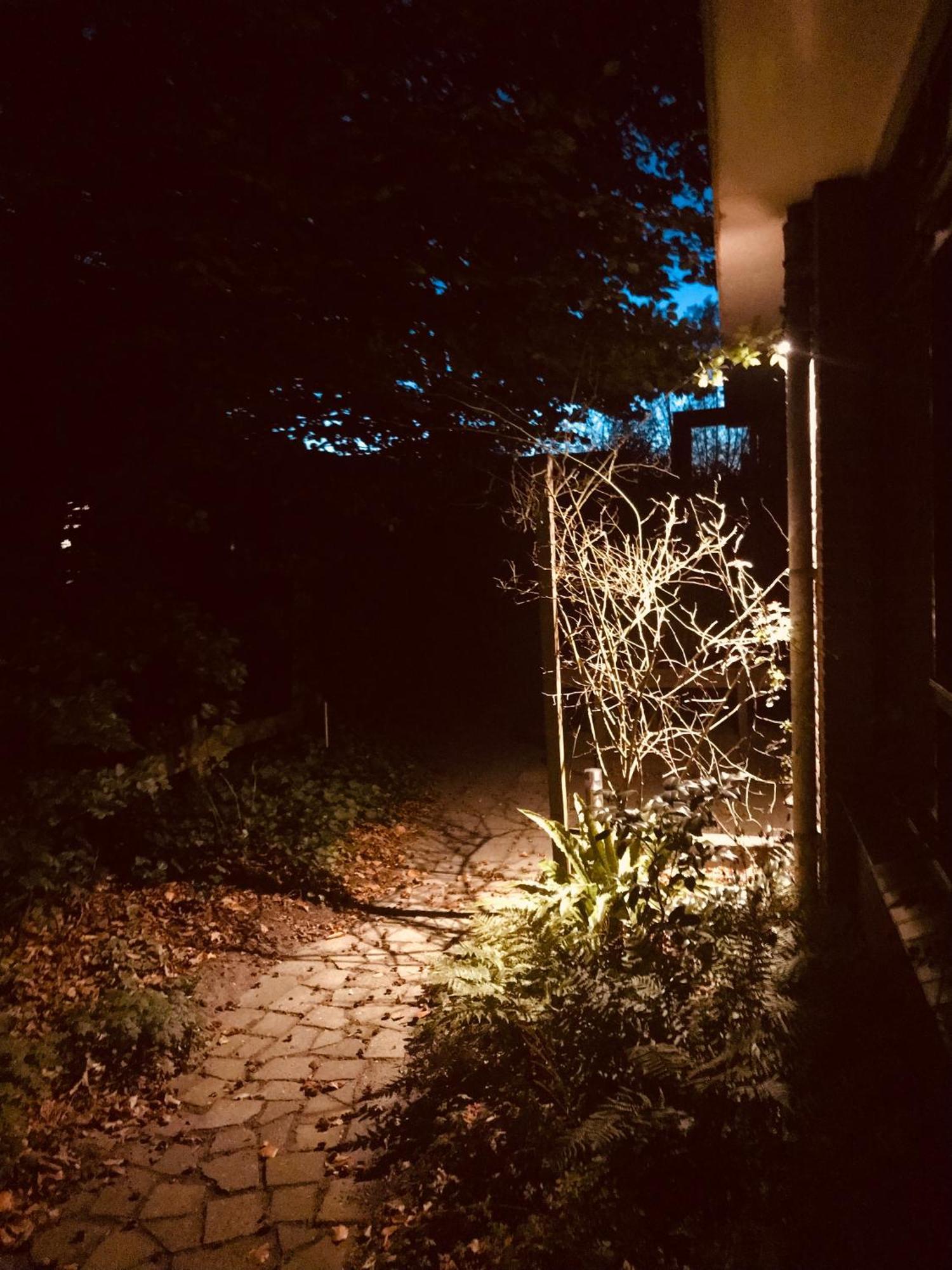 Apartmán De Rietnymf Munnekeburen Exteriér fotografie